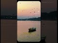 Osho Shayari Saason Ki Mala ️ Trending Shorts Osho Shayari