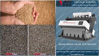Prodaja AMD LC-Z 64 Mini razvrsivača boja - Slika 3 | Agronetto HR Novi AMD LC-Z 64 Mini razvrsivač boja | Slika 3 - Agronetto