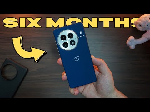 OnePlus 13 6 Months Later: The Phone To Beat! (Honest Review)