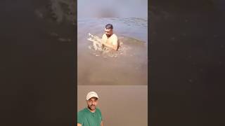 Confundiu jacaré com peixe 😱