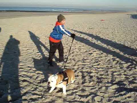 Purmersteijn E8 Strand training...