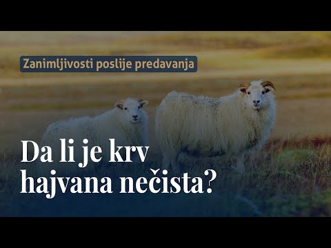 Da li je krv hajvana nečista? - dr. Zijad Ljakić