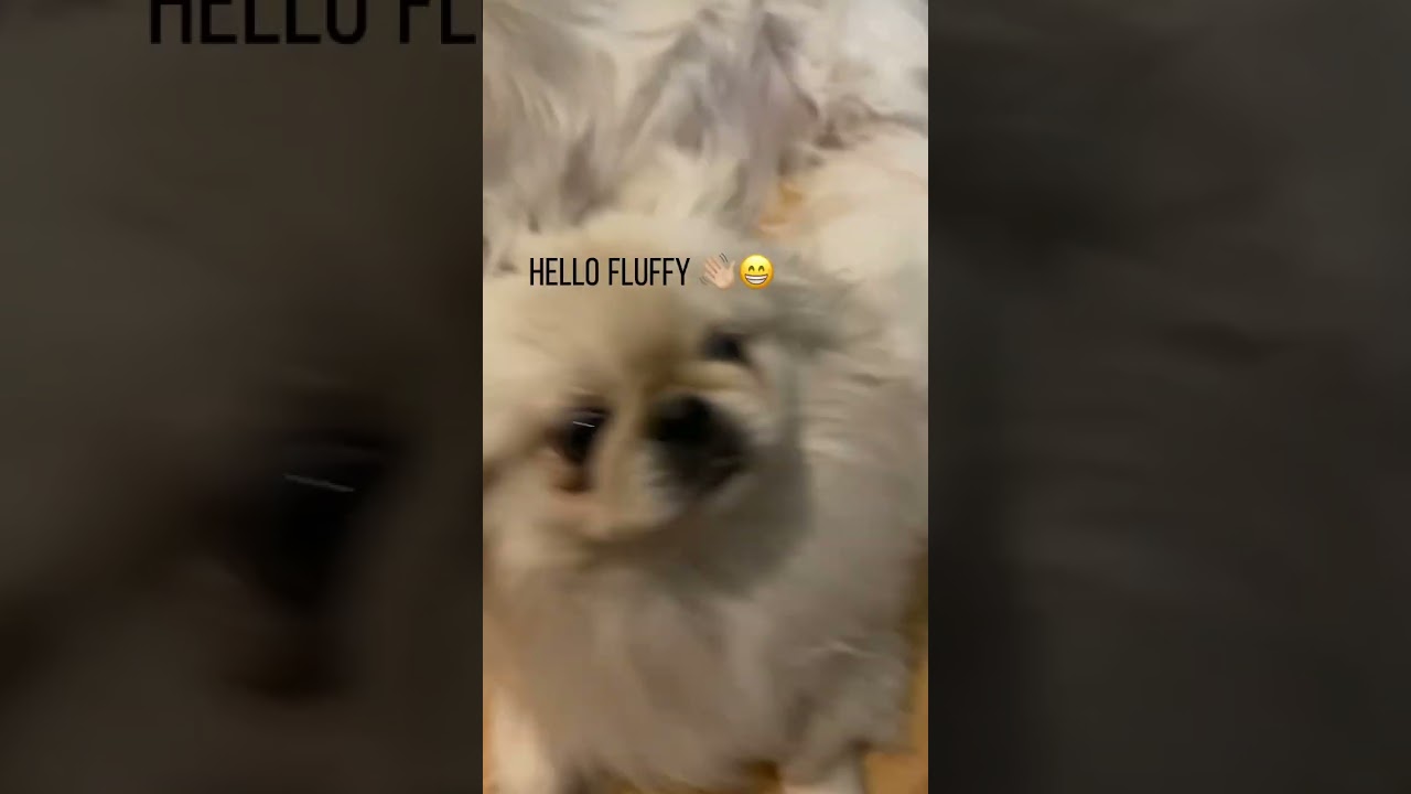 Omg there so cute 🥹🥰😄