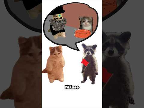 Video Thumbnail: Ilegale Mieten erklärt von Katzen!
