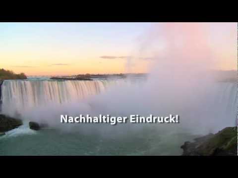 Infovideo Bildkommunikation und Informationsaufnahme