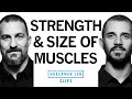 Building Strength Vs Building Muscle Size Hypertrophy Dr Andy Galpin Dr Andrew Huberman