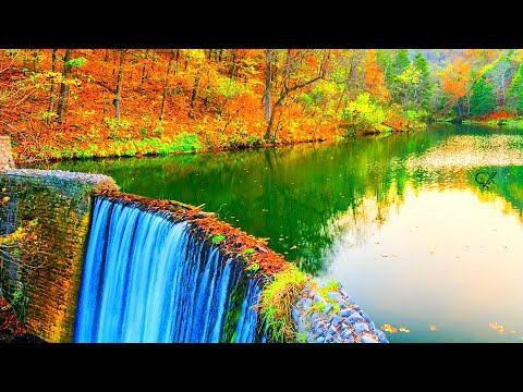 MagiCXbeats - Bubba Kush