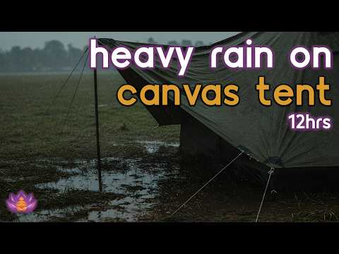 [Black Screen] Heavy Rain on Canvas Tent – No Thunder | Sleep Rain Ambience, Soothing Rain Sounds