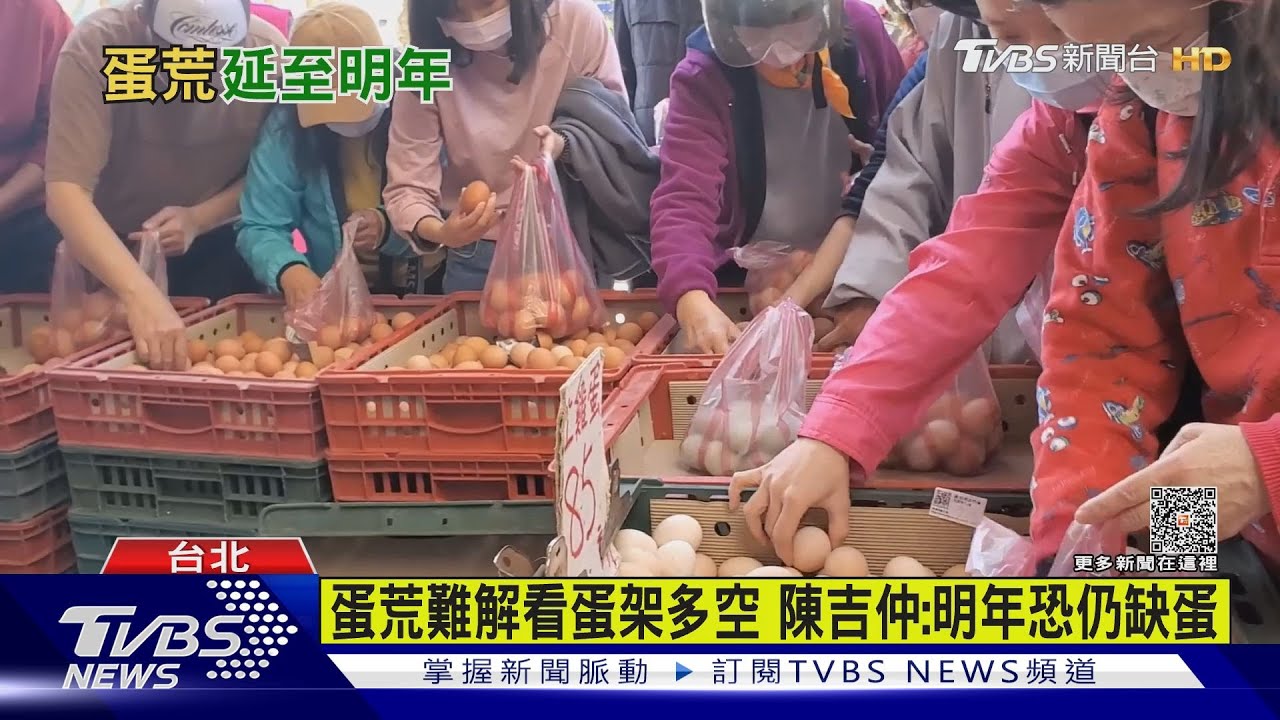 蛋荒難解看蛋架多空　陳吉仲：明年恐仍缺蛋