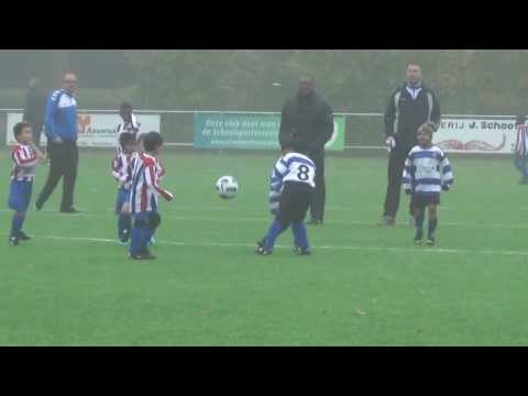 TransvaliaZW F2 Bolnes F3