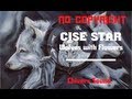 FREE DOWNLOAD Cise Star Wolves with Flowers ...
