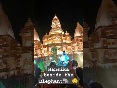Hansika voi paye suru kore dilo kanna😩#ytshorts #shorts #youtubeshorts #aarti #elephant #youtube