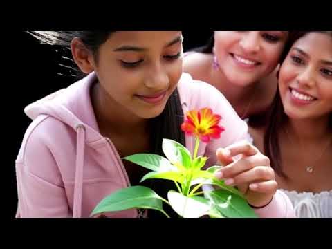 E2 |  Nothing is useless | New Beginning | Samhitha Sirikonda | Snikitha Priyadarshini | Spoorthi l 