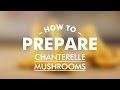 How to Prepare Chanterelle Mushrooms || Gastrolab Basic Cooking Skills