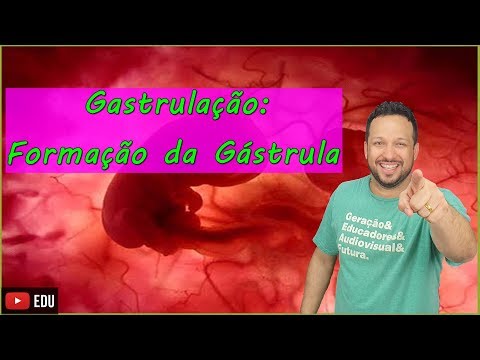 Gastrulation: Formation of the Gastrula - Embryology - Class 5
