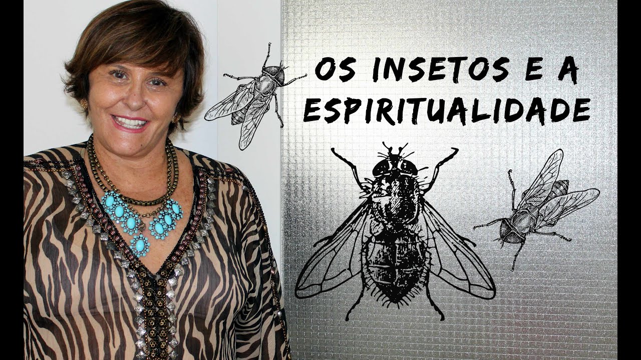 Os Insetos e a Espiritualidade!!