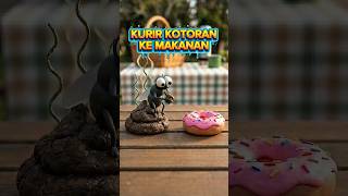 Download lagu Why Do Flies Go From Dirt Straight to Food? mp3