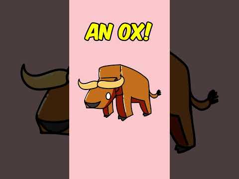 Почему китайский Новый год ВСЕГДА СБИВАЕТ МЕНЯ!