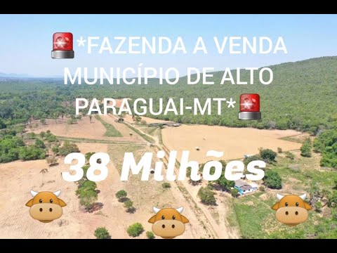 FAZENDA A VENDA NO ALTO PARAGUAI-MT