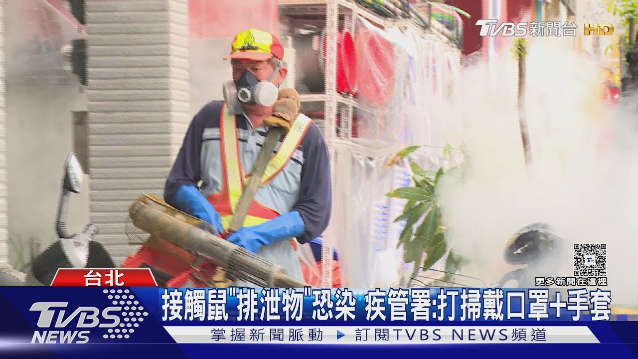 仁愛路巷弄藏「漢他病毒」!老翁疑接觸鼠糞染病 敗血症8天不治身亡