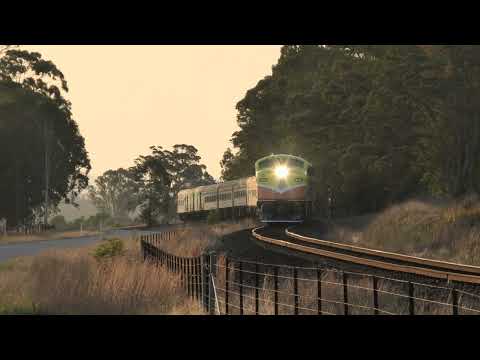 42105/42107 on 8L03 Vintage Rail Journey Tour