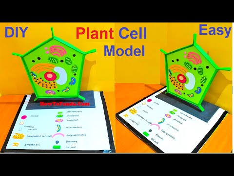 Animal Cell Model 3D model making using cardboard and paper howtofunda still model