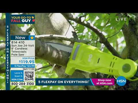 Sun Joe 24Volt 8" Cordless Telescopic Pole Saw with Spar...