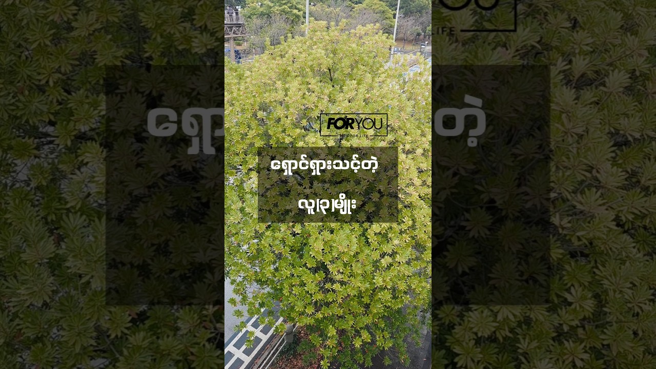 ရှောင်ရှားသင့်တဲ့ လူ(၃)မျိုး