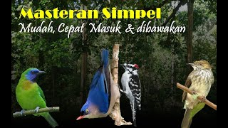 Download lagu MASTERAN SIMPEL !! Materi suara Burung Siri-Siri, Rambatan, Pelatuk dan Kinoi mp3 Download lagu MASTERAN SIMPEL !! Materi suara Burung Siri-Siri, Rambatan, Pelatuk dan Kinoi mp3