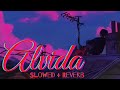 Alvida (Slowed + Reverb) || Nikhil D'Souza ft. Sukhwinder Singh x Shruti Hassan || D-Day 🎧