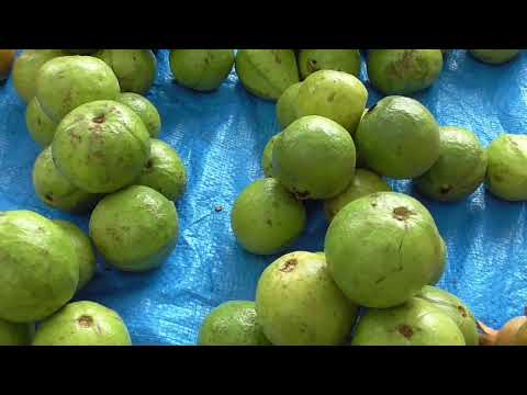 SULABHA ACADEMIC ENGLISH Channel-Simple Spoken English