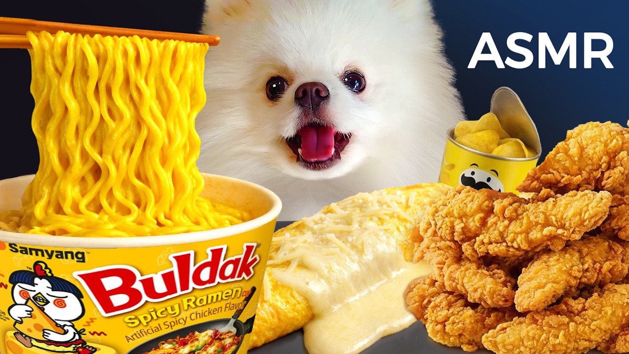 ASMR Mukbang | Yue the Pomeranian Eating Yellow Ramen Buldak, Fried Chicken, Egg & Chips
