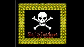 Demonstration - Skull & Crossbones Real Cartridge, Original NES