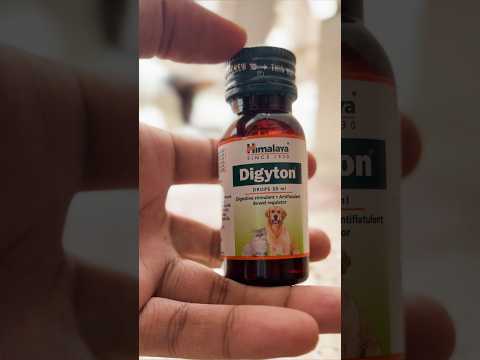 For indigestion issues of cats #cat #shorts #catshorts #petcare #cutecat #viral #subscribe #vet #pet