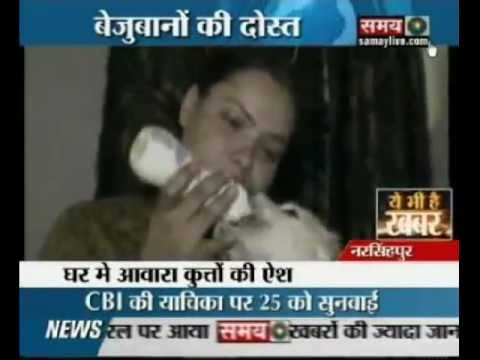 Stray dogs get home in Narsinhpur