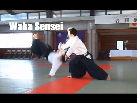 Ueshiba Mitsuteru Waka Sensei at the 45th Iwate University Aikido Demonstration