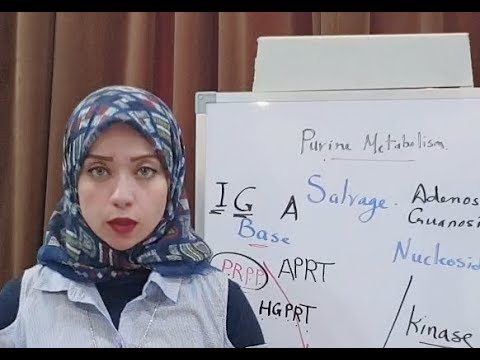 ( NUCLEOPROTEIN Metabolism Session 2)Salvage pathway of purine biosynthesis