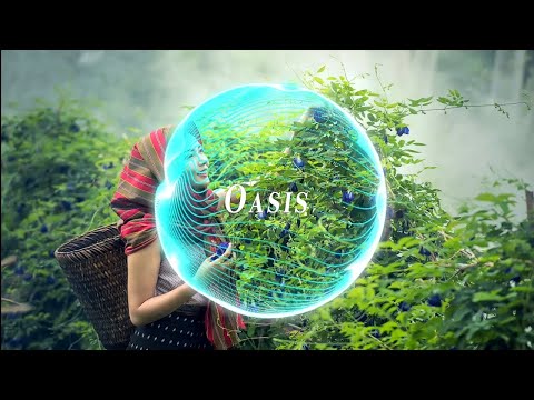 AckorensenD - Oasis