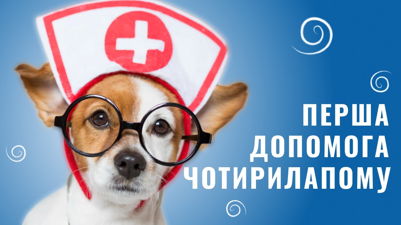 YouTube video preview