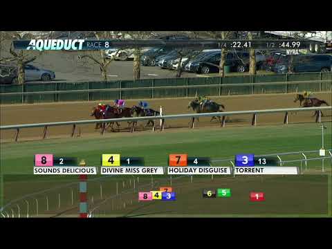Holiday Disguise - 2018 - The Distaff Handicap