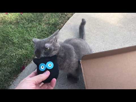 Optibotimus UNBOXING: KITNIPBOX October 2017 with Burger, Tux and Gracie