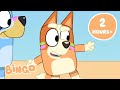 LIVE Playtime With Bingo And Friends Fun And Games With Bingo And Bluey Bingo