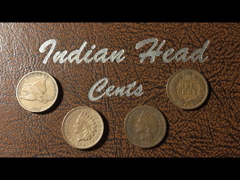My Flying Eagle + Indian Head Cent Collection