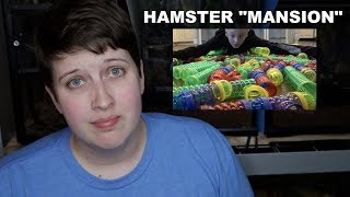 WHAT'S INSIDE FAMILY HAMSTER MANSION RESPONSE by Pickles12807