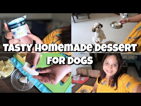 Homemade Desserts For Dogs | Make A Quick Healthy Dessert | Tasty And Healthy Dessert For Dogs Video