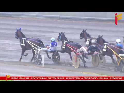 III Corsa del 23 Settembre 2023 - 3 Anni - Metri 1600