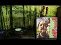 Butthole Surfers Hairway To Steven 1988 Full Album Vinyl Rip