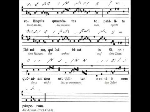 Offertorium Sperent in te, Dominica IX TpA (9 TO)