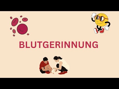 Blutgerinnung einfach erklärt
