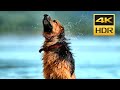 Sony 4K Video Surfing The Waves In Dolby DTS Ultra HD 60 FPS